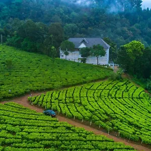 Tea Harvester Муннар